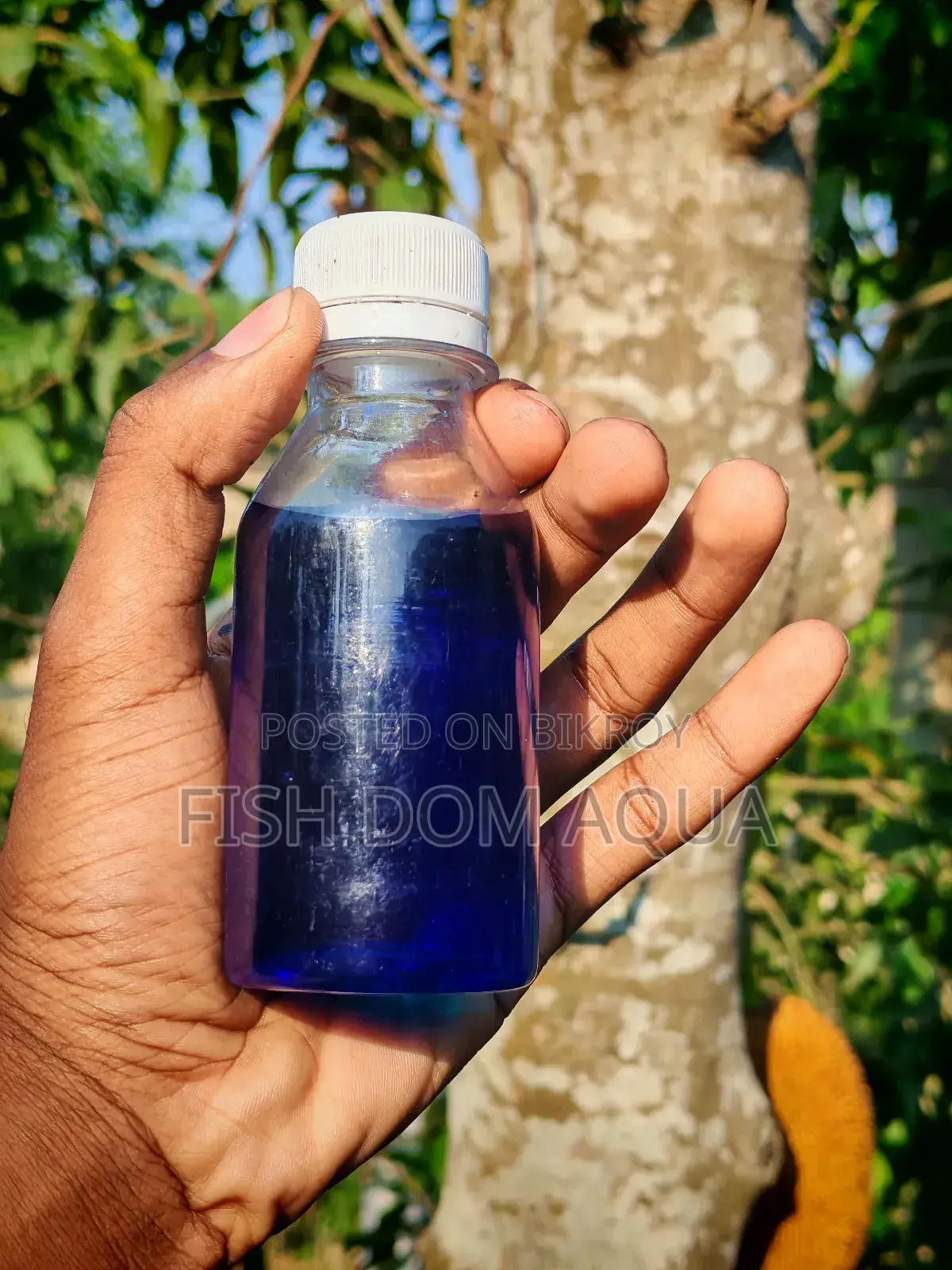 Liquid Mithain Blue (100-1000) Ml