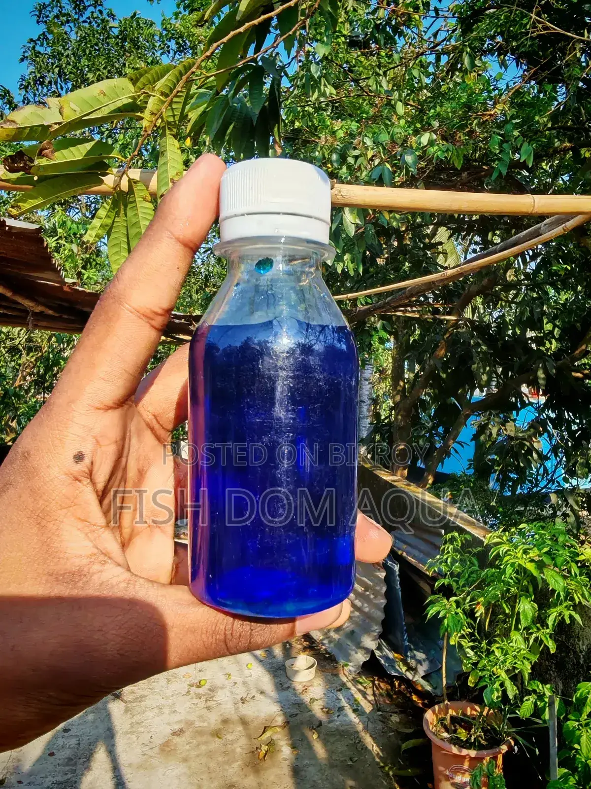 Liquid Mithain Blue (100-1000) Ml