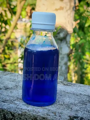 Liquid Mithain Blue (100-1000) Ml