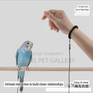 Parrot Harness With Foot Anklet