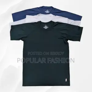 Men's Mesh Fabric T Shirt
