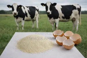 Egg Shell Powder