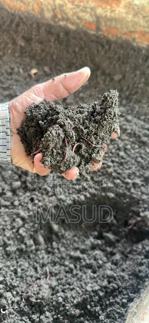 ভার্মি কম্পোস্ট / কেঁচো সার