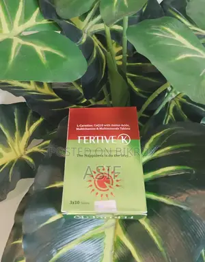 বন্ধ্যাত্বের চিকিৎসা