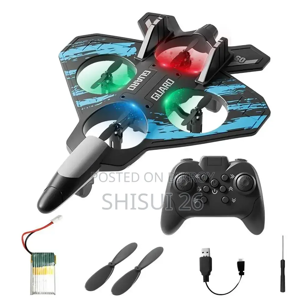 Skyguard 360 RC Plane Drone