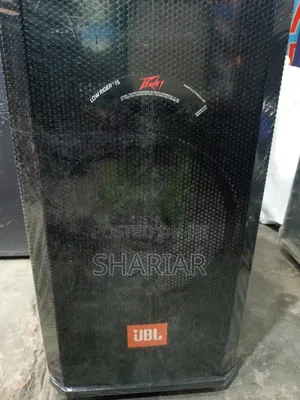 Model: B12d, 12" Chinese Speaker Box Attached to an Amplifier.