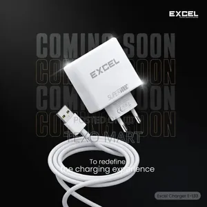 Exel 33 Watt Charger