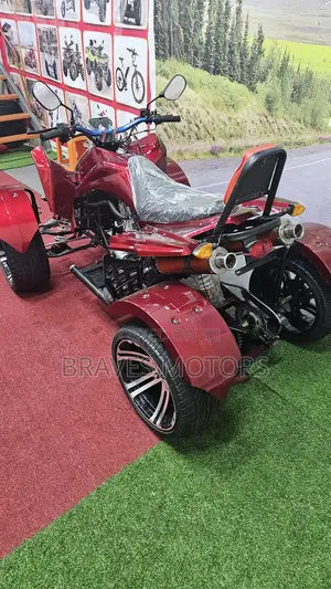 নতুন বিচ বাগি ২০২৫ রেড