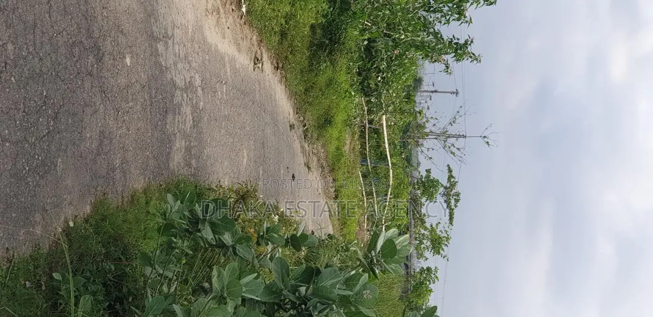 ১৫ ব্লক সি