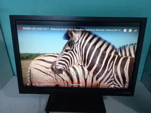 HP Monitor 19 inch//Led