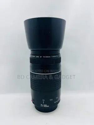 Canon 75-300 zoom lens with hood free
