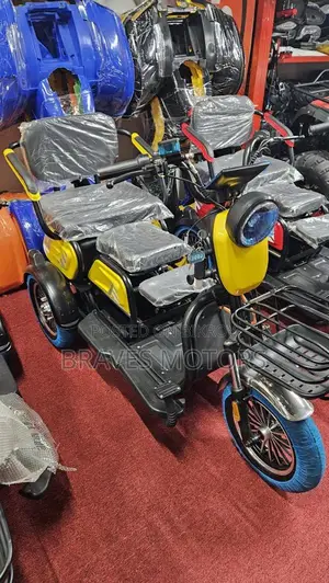 E-bike 2024