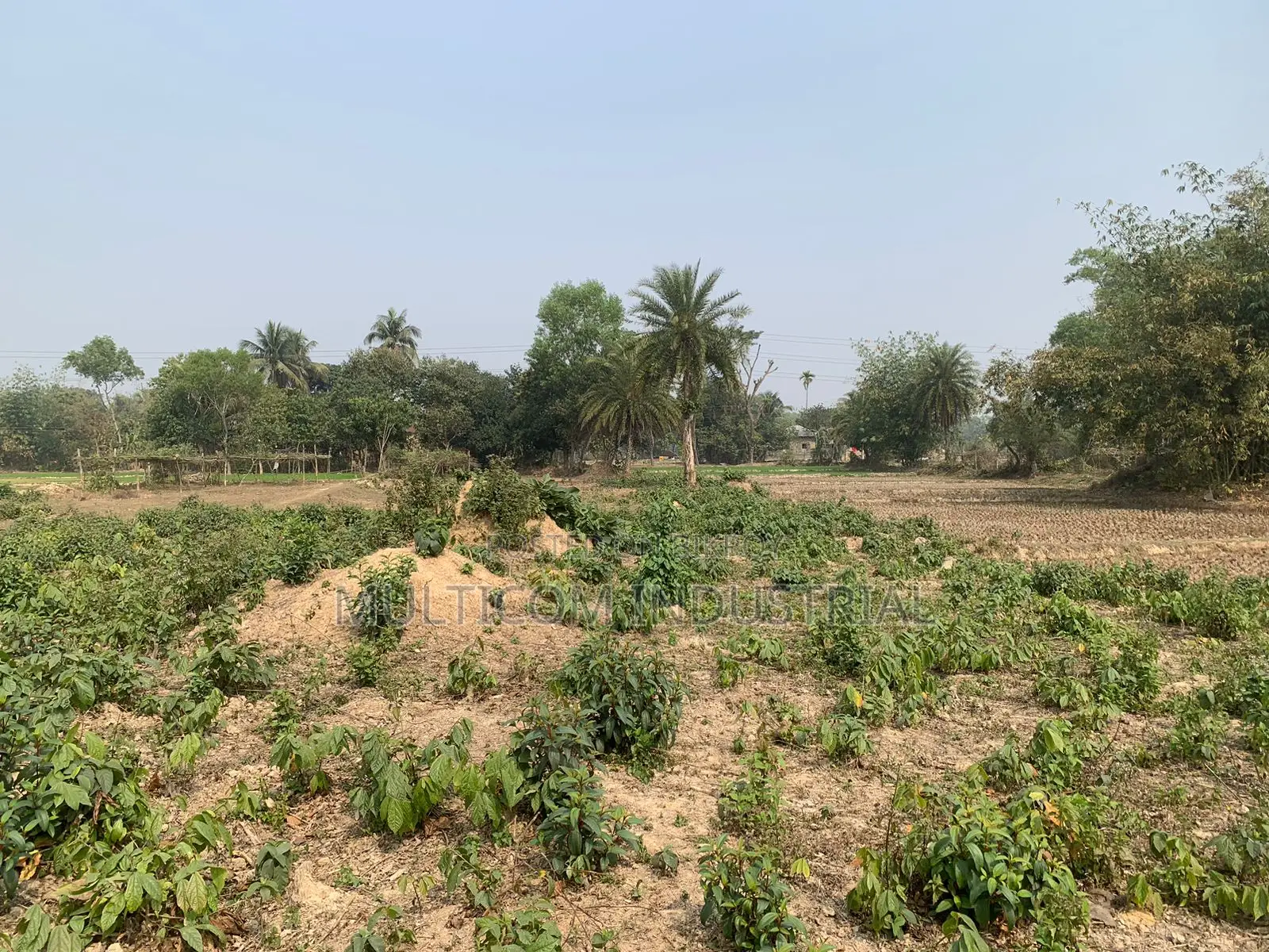 ৮৬০০০ স্কয়ারফিট জমি ভাড়া, মোট – ২১০ শতক, ৬ বিঘা