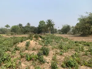 86,000 sqft land for rent, total – 210 decimals, 6 Bigah
