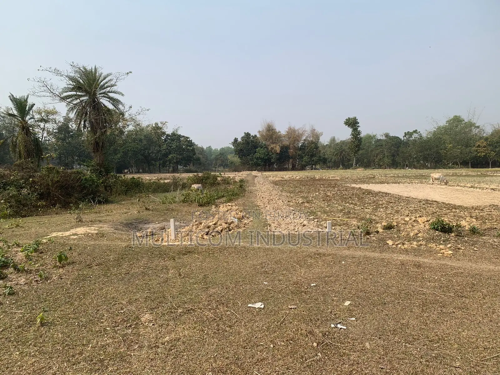 ৮৬০০০ স্কয়ারফিট জমি ভাড়া, মোট – ২১০ শতক, ৬ বিঘা