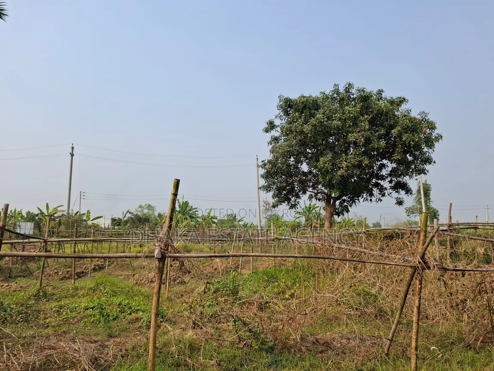 রাজউক পূর্বাচল সেক্টর ২৩ জমি ৩ কাঠা