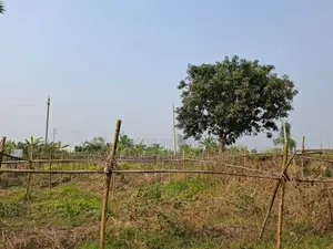 রাজউক পূর্বাচল সেক্টর ২৩ জমি ৩ কাঠা