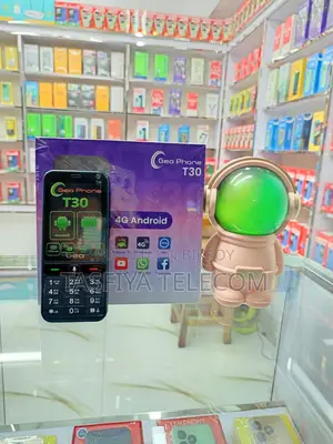 Geo T30 4G (1GB RAM) New