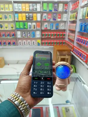 Geo T30 4G (1GB RAM) New