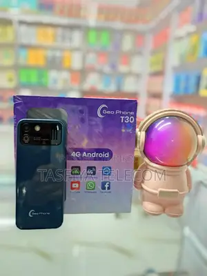 Geo T30 4G (1GB RAM) New