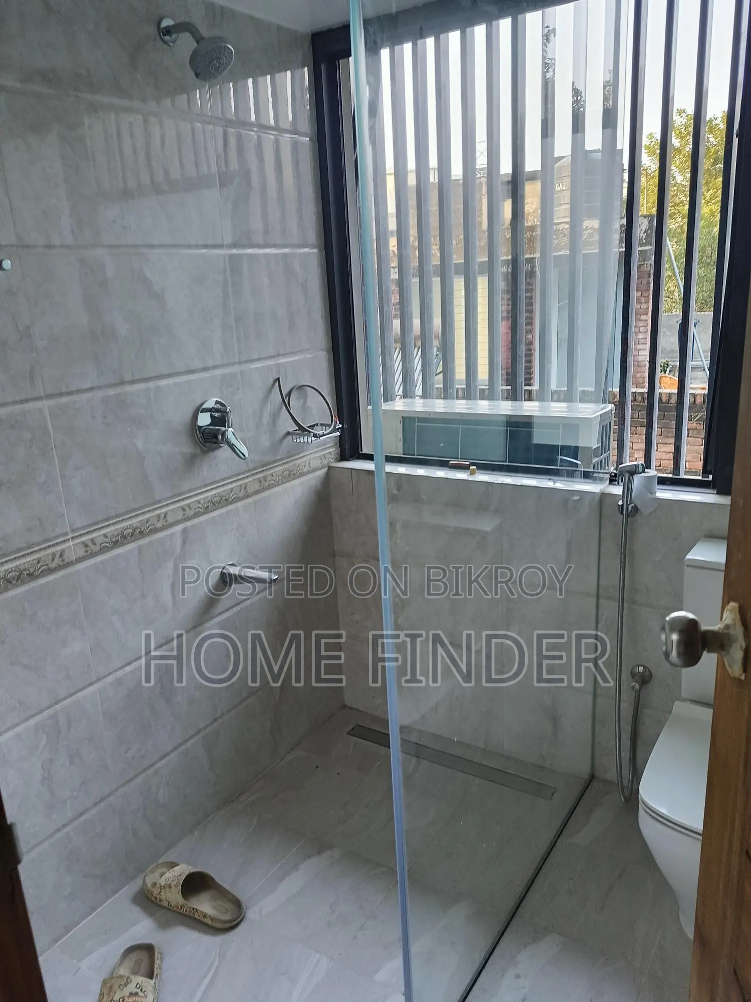 Lake View 4950 Sqft Brand New Apt: For Rent @ Gulshan(2)