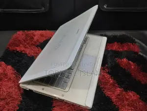 Sony Viao Laptop