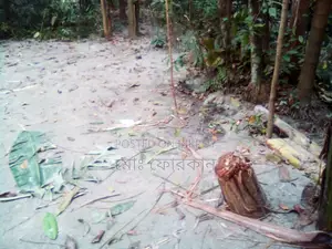 তিন শতাংশ জমি বিক্রয় করতে চাই