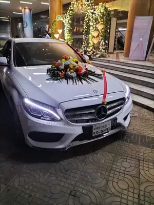 Marcedis For Rent