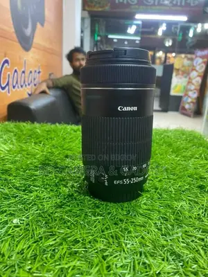 ক্যানন ৫৫-২৫০ আইএস এসটিএম জুম লেন্স