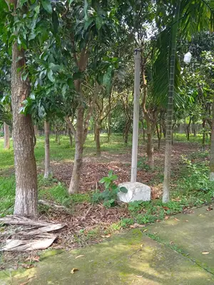 প্রিমিয়াম ৭.৫০ বিঘা বাগান বাড়ি – সিলেক্ট ইনভেস্টমেন্ট, গাজিপুর