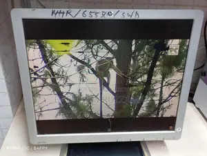Monitor for Sale