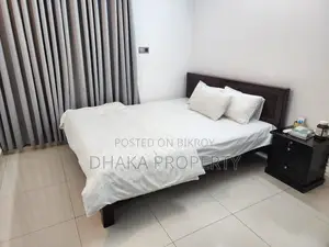 বসুন্ধরায় খুব ভালো ফুল-ফার্নিশড অ্যাপার্টমেন্ট ভাড়া
