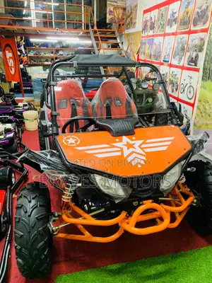 Zongshen Storm V250 Buggy For adults 2025