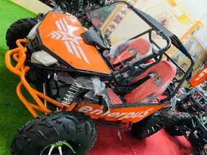 Zongshen Storm V250 Buggy For adults 2025