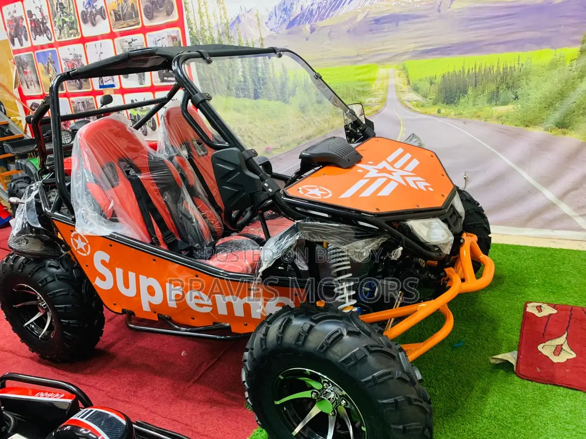 Zongshen Storm V250 Buggy For adults 2025