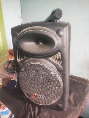 12-inch high-quality speaker.