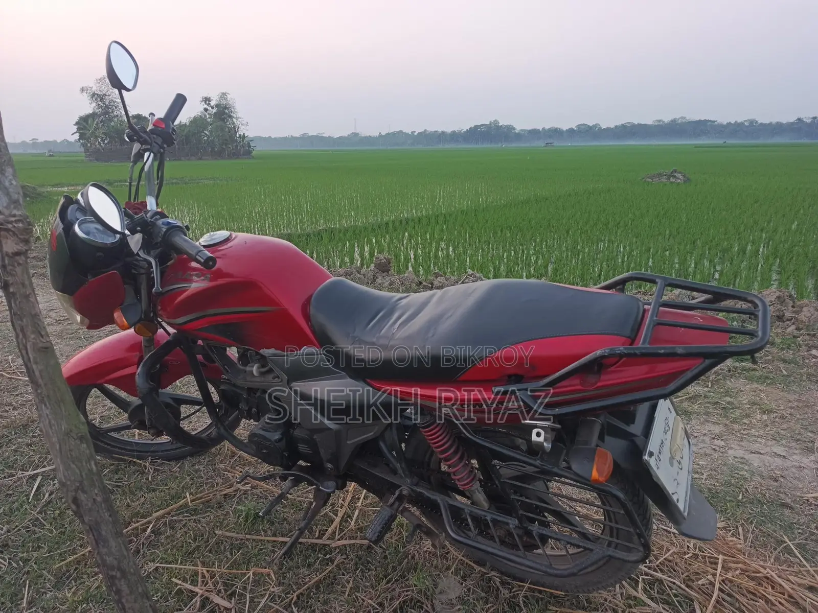 H Power Zaara-100 2018 Red