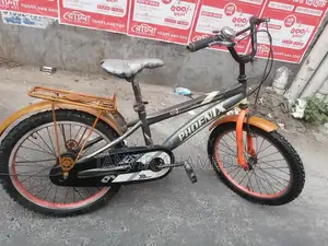Phoenix Bicycle for Sale