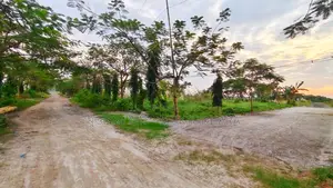 Make Your Dream Come True: Plots Near Dhaka
