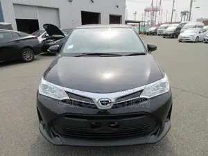 Toyota Axio EX 2020
