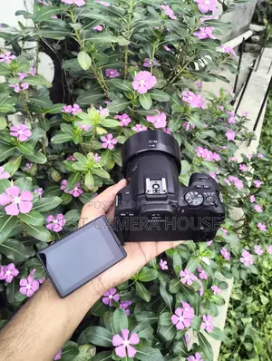 200D+ 50mm STM Full Fresh Like New