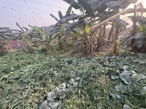 জমি বিক্রয়ের জন্য