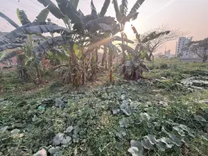 জমি বিক্রয়ের জন্য