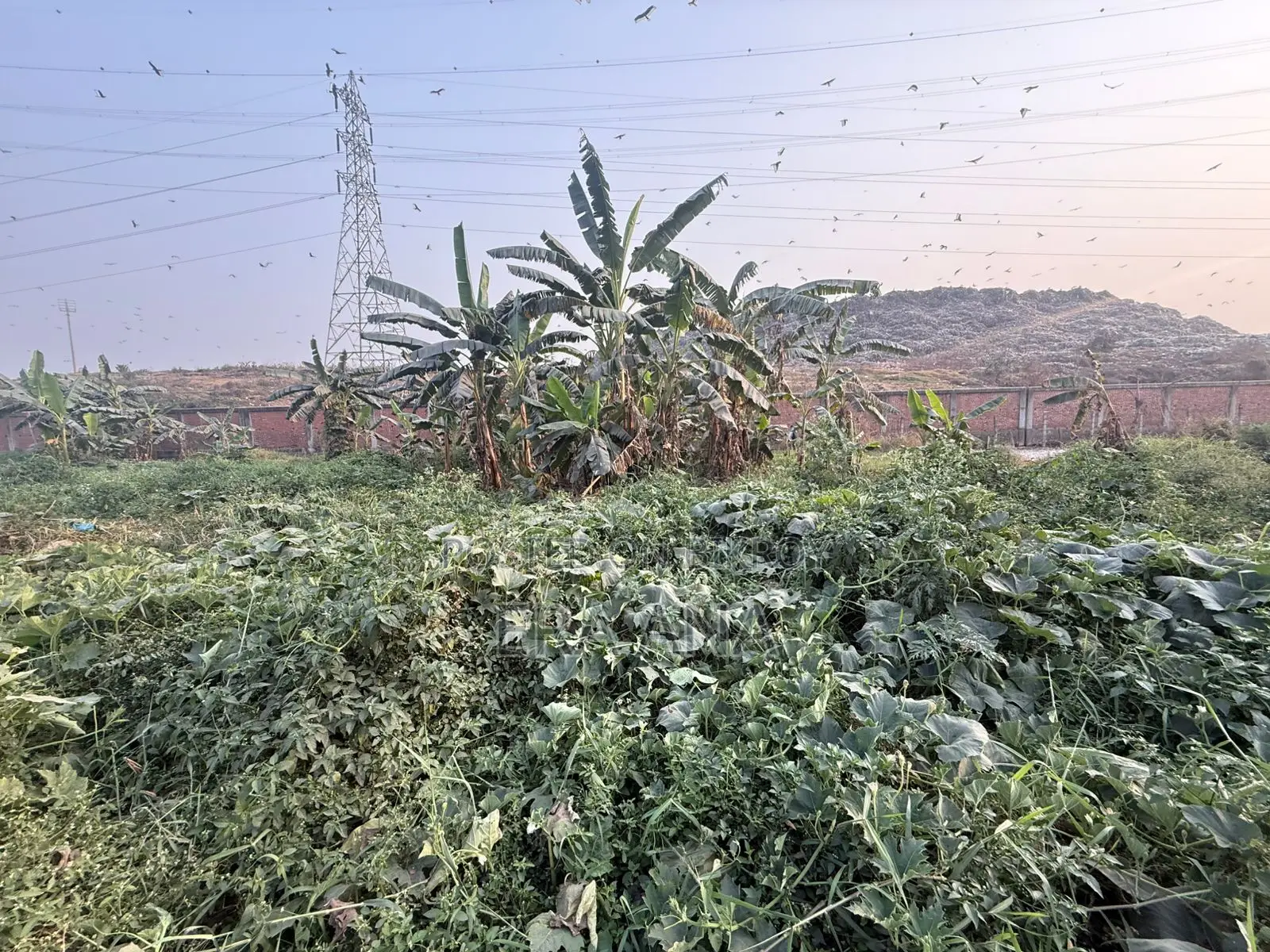 জমি বিক্রয়ের জন্য
