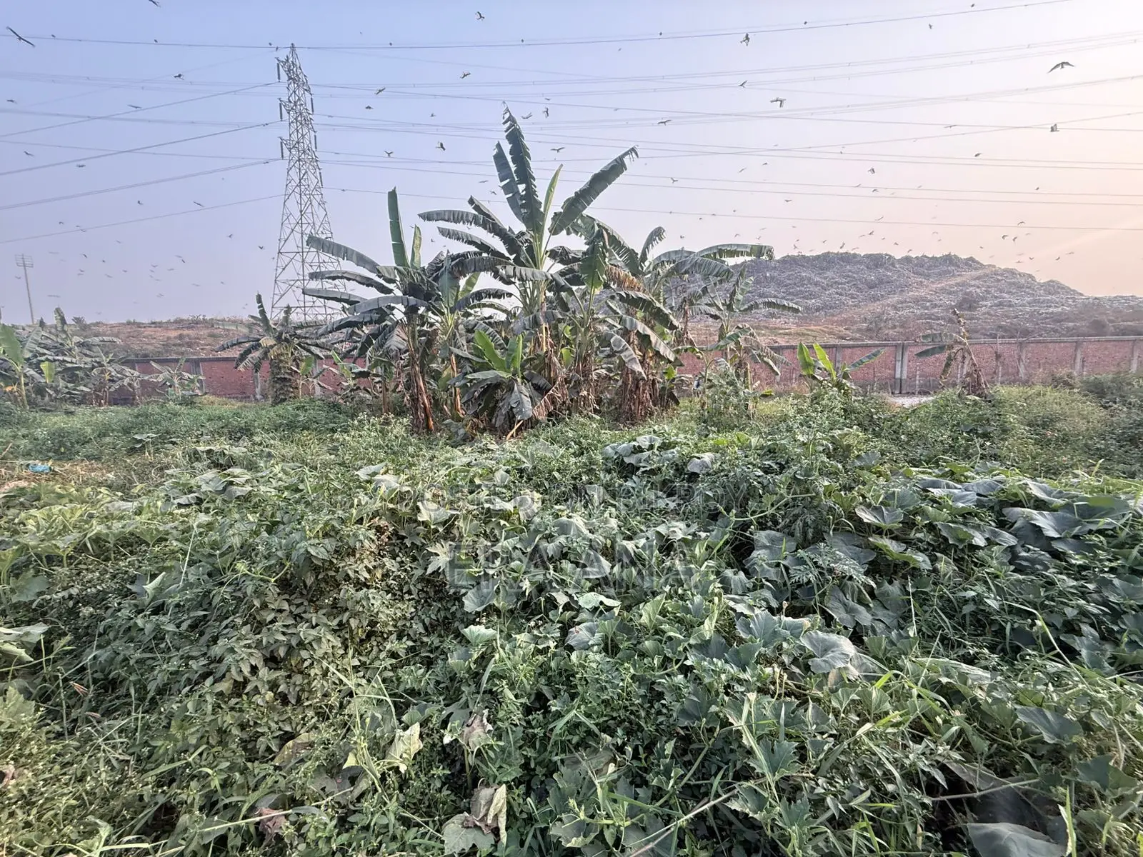 জমি বিক্রয়ের জন্য