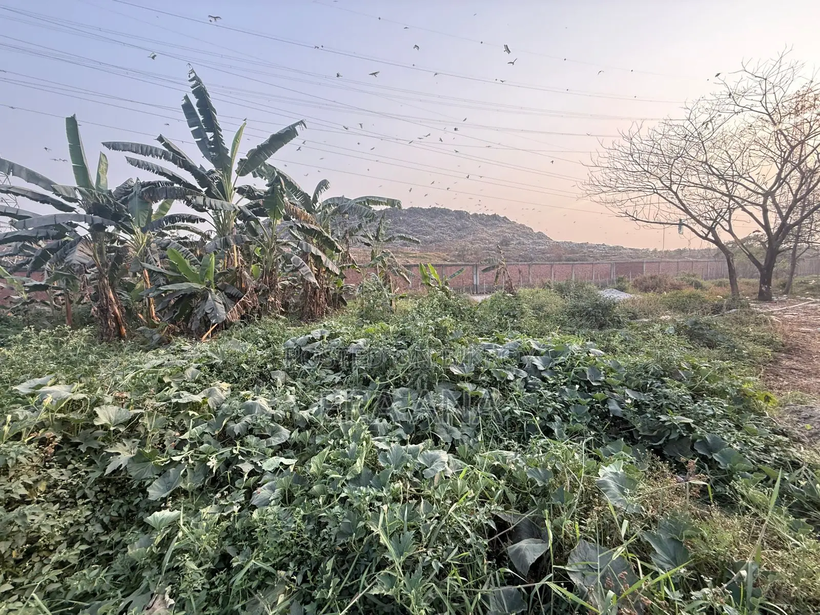 জমি বিক্রয়ের জন্য