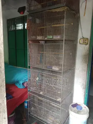 পাখির খাচা বিক্রি হবে জি আই তারের