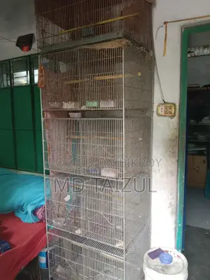 পাখির খাচা বিক্রি হবে জি আই তারের