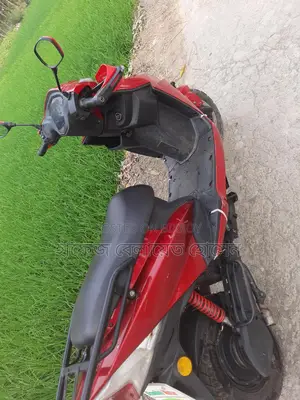 Green Tiger . 2025