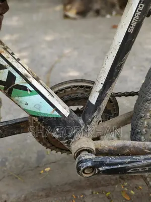 Phoenix bicycle for sale